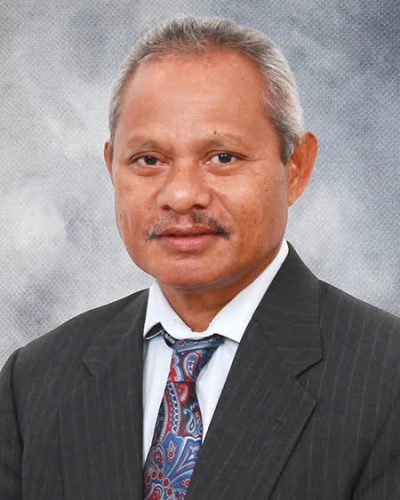 Delegate Kemesong