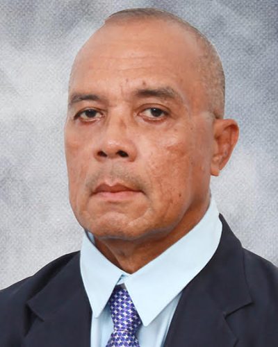 Delegate Sinsak